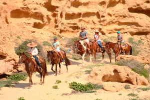 Cabo San Lucas: Horseback Riding in Migriño with Transfers