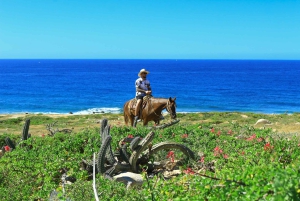 Cabo San Lucas: Horseback Riding in Migriño with Transfers
