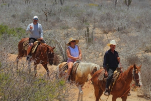 Cabo San Lucas: Horseback Riding in Migriño with Transfers