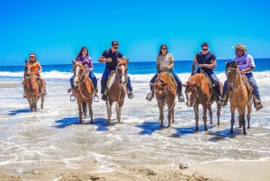 Cabo San Lucas: Horseback Riding in Migriño with Transfers