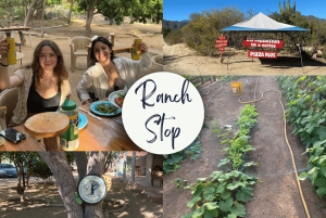 Cabo San Lucas: Santiago & Santa Rita Hot Springs Rural Tour