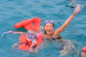 Cabo San Lucas: Snorkeling, Tacos and Chileno Bay Boat Tour