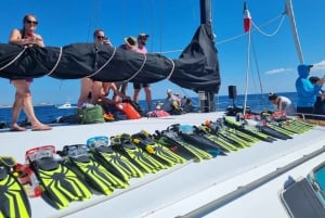 Cabo San Lucas: Snorkeling, Tacos and Chileno Bay Boat Tour