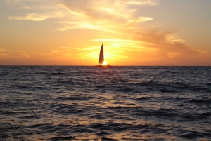 Cabo San Lucas: Sunset Party Cruise med åben bar