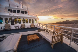 Cabo San Lucas: Crucero con Cena y Espectáculo Premier al Atardecer