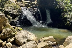 Caguas: Waterfall and Cave Adventure