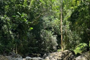 Caguas: Waterfall and Cave Adventure