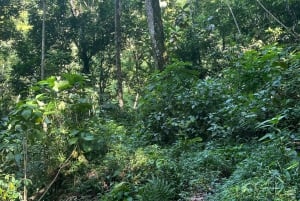 Caguas: Waterfall and Cave Adventure