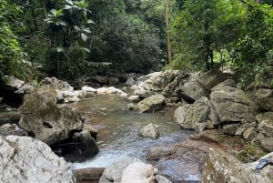 Caguas: Waterfall and Cave Adventure