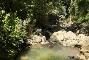 Caguas: Waterfall and Cave Adventure