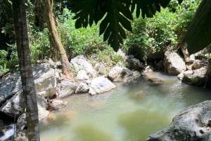 Caguas: Waterfall and Cave Adventure
