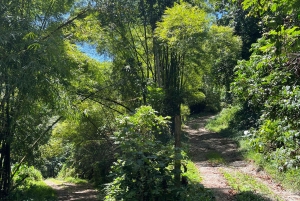 Caguas: Fossefall og grotteeventyr