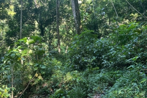 Caguas: Fossefall og grotteeventyr