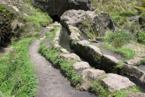 Cajamarca: Cumbemayo arkæologisk kompleks + entré