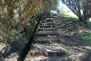 Cajamarca: Cumbemayo | Archaeological complex | Stone forest