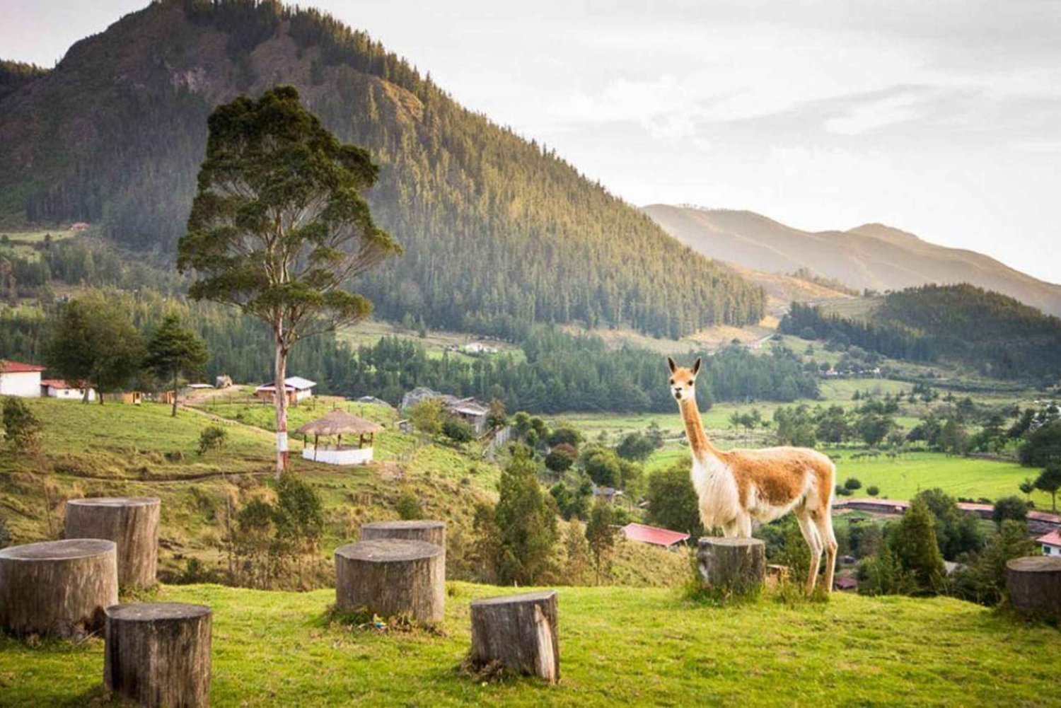 Cajamarca | Visit Combayo & Sangal Canyon