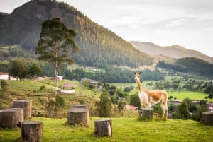 Cajamarca | Visit Combayo & Sangal Canyon