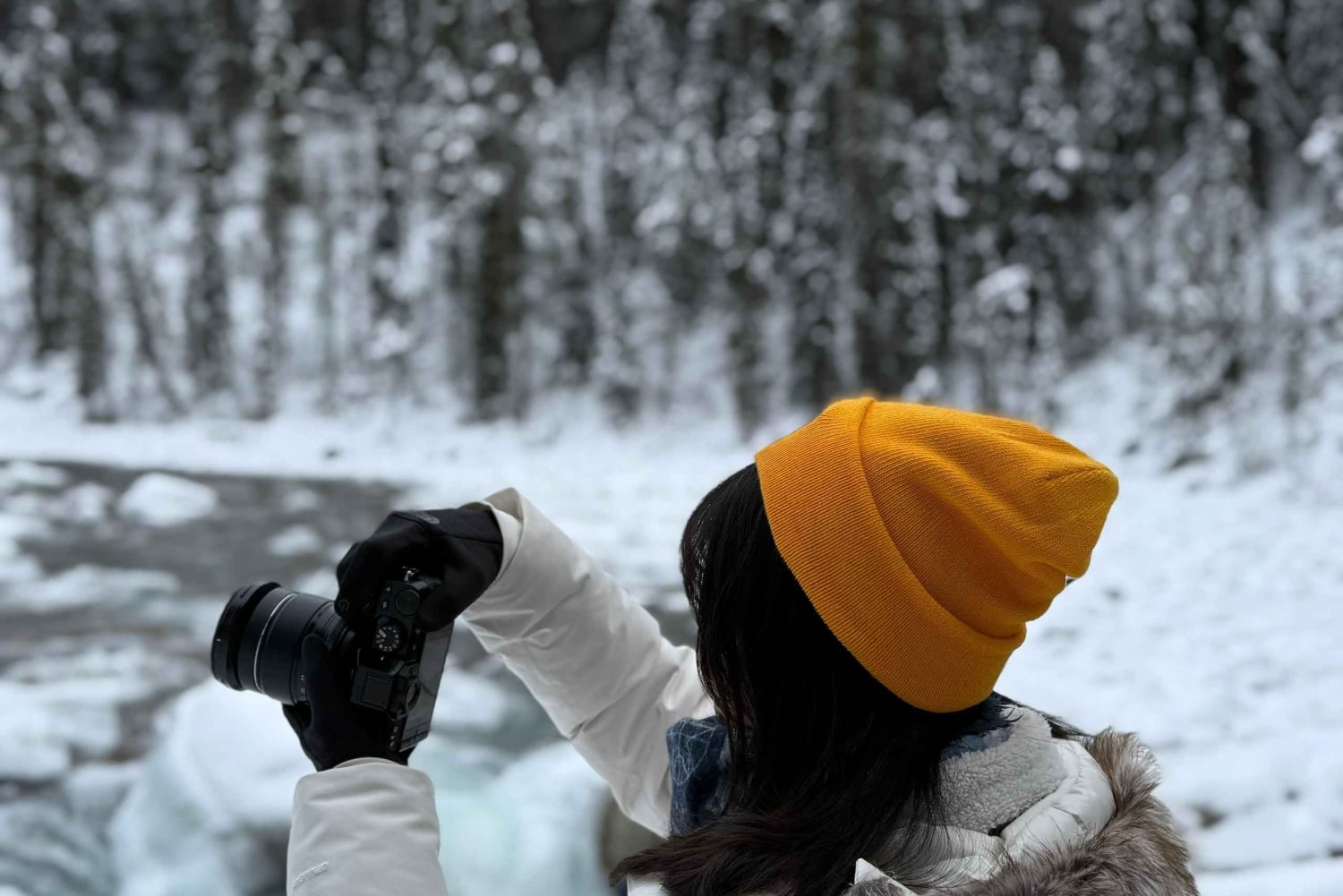 Calgary/Canmore/Banff: Abraham Ice Bubble, Peyto, Lake Louise
