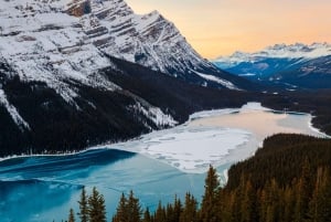 Calgary/Canmore/Banff: Abraham Ice Bubble, Peyto, Lake Louise