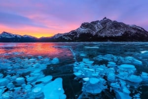 Calgary/Canmore/Banff: Abraham Ice Bubble, Peyto, Lake Louise