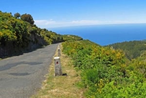 Visite de Câmara de Lobos, Pico da Torre et Porto Moniz