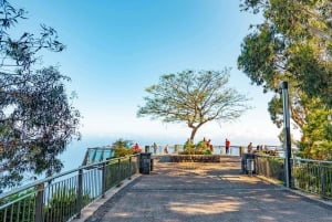 Visite de Câmara de Lobos, Pico da Torre et Porto Moniz