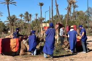 マラケシュの砂漠の村を巡るラクダ乗りアドベンチャーをお楽しみください