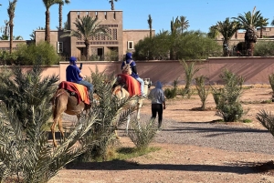 マラケシュの砂漠の村を巡るラクダ乗りアドベンチャーをお楽しみください