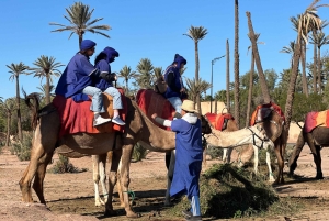 マラケシュの砂漠の村を巡るラクダ乗りアドベンチャーをお楽しみください