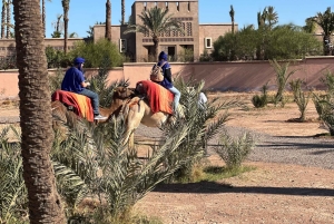 マラケシュの砂漠の村を巡るラクダ乗りアドベンチャーをお楽しみください
