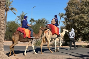 マラケシュの砂漠の村を巡るラクダ乗りアドベンチャーをお楽しみください