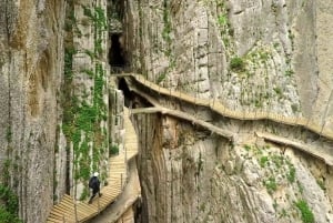 マラガ発カミニート・デル・レイ：往復バス+公式ガイド付きツアー