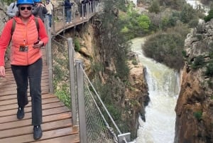 マラガ発カミニート・デル・レイ：往復バス+公式ガイド付きツアー