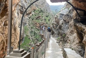 マラガ発カミニート・デル・レイ：往復バス+公式ガイド付きツアー