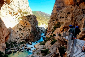 Caminito del Rey Guided Tour & Welcome Pack from Málaga