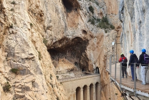 Caminito del Rey Guided Tour & Welcome Pack from Málaga