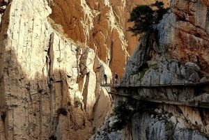 Caminito del Rey Guided Tour & Welcome Pack from Málaga