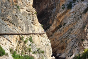 Caminito del Rey Guided Tour & Welcome Pack from Málaga