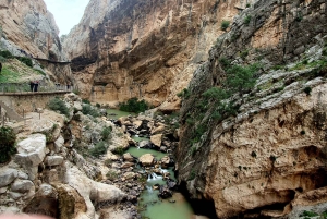 Caminito del Rey Guided Tour & Welcome Pack from Málaga