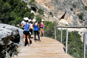 Prywatna wycieczka Caminito del Rey z Costa del Sol