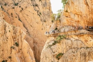 Caminito del Rey: bilhetes, visita guiada, transporte e água