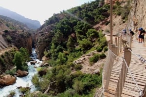 Caminito del Rey: Tour with Official Guide and Drink