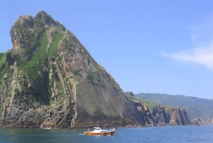 Vandretur på Camino de Santiago i San Sebastián