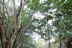 Vandretur på Camino de Santiago i San Sebastián