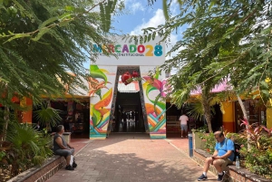 Cancun: bussikierros – kaupunkiseikkailu parhailla pysähdyksillä