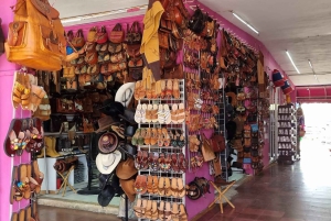 Cancun: bussikierros – kaupunkiseikkailu parhailla pysähdyksillä