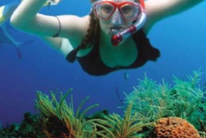 Cancun: Catamaran Tour to Isla Mujeres & Snorkel