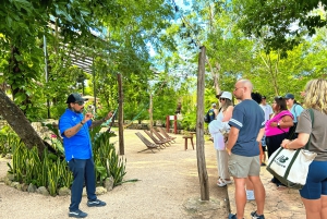 Cancun: Chichen Itza All-Inclusive & Cenote. No hidden fees