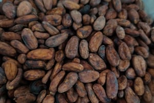 Cancún: Chocolate Making Class and Tasting with Chef