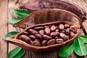 Cancún: Chocolate Making Class and Tasting with Chef